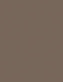 2800*1220*18 Kronospan Feelness PET 7166 HG/BS Latte