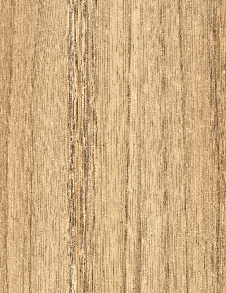 28/0.8 Ταινία ABS Egger H3012 ST22