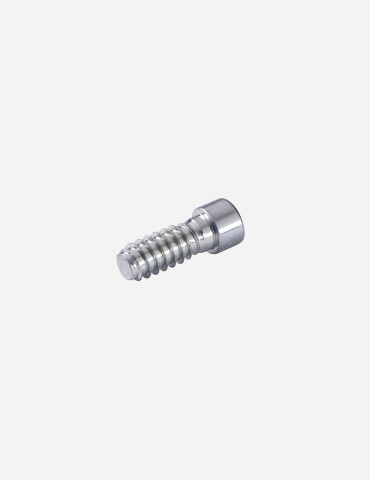 Cabineo 12 screw (2000 pcs)