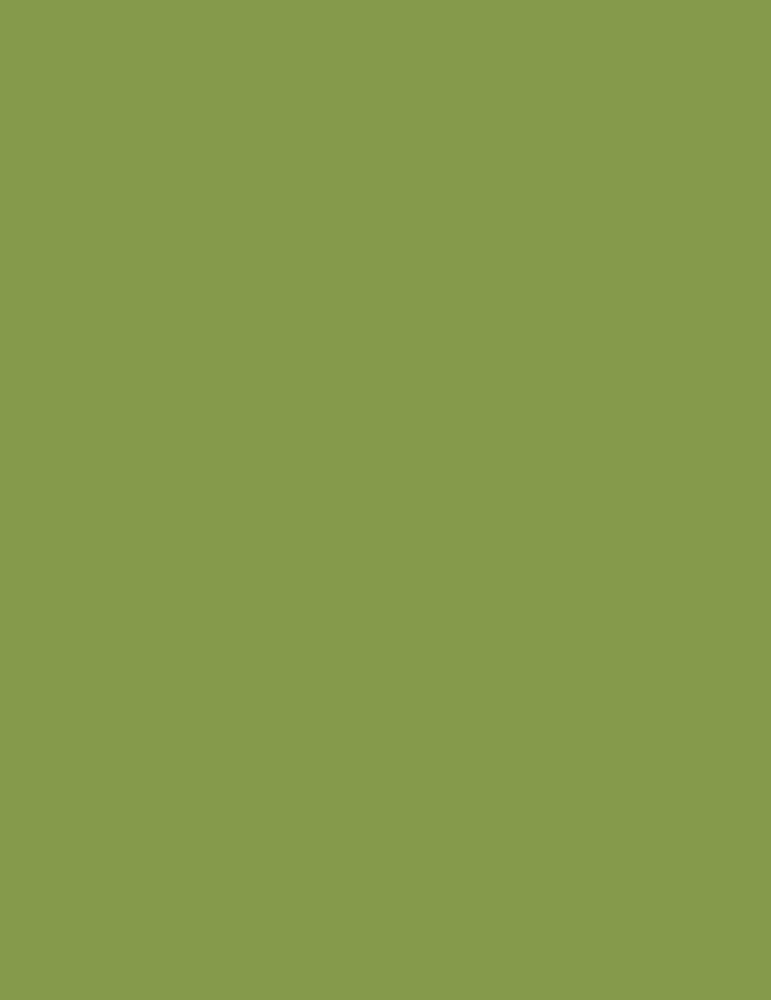 2800*1310*0.8 Φορμάικα Egger U626 ST9