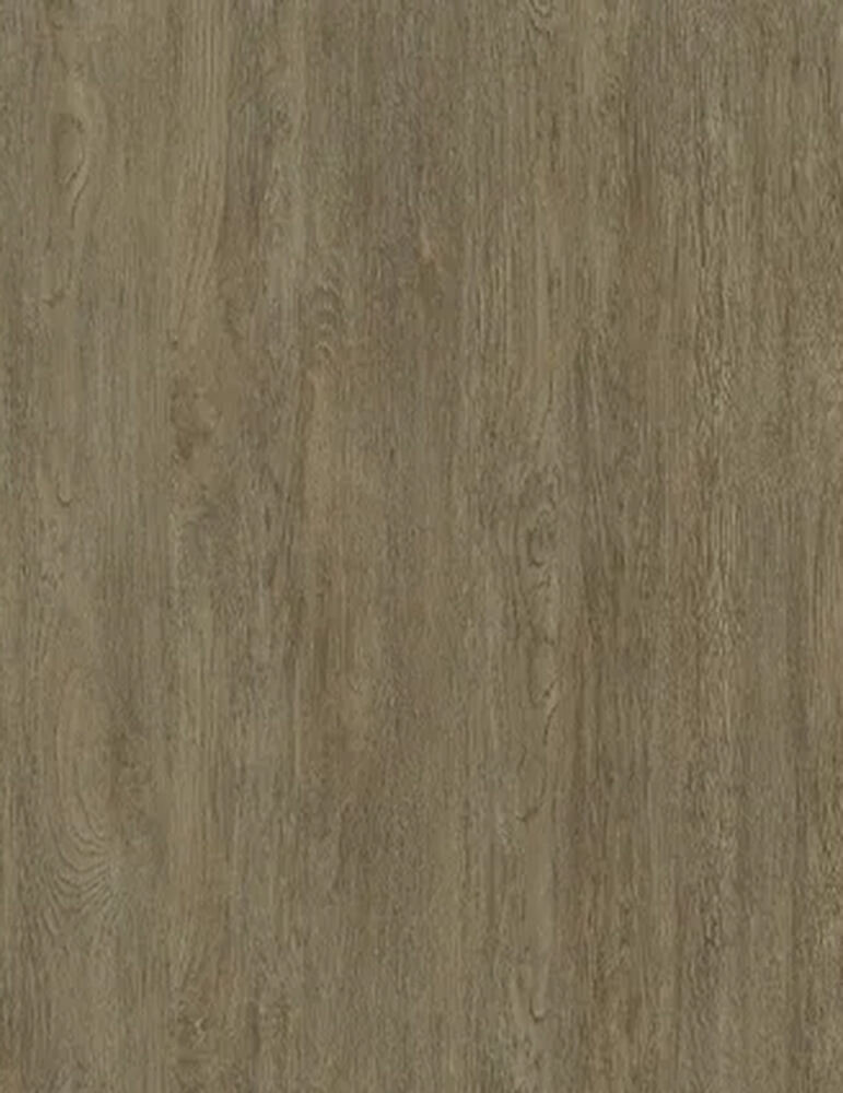 22/0.8 Ταινία PVC AGT 388 Toledo Light Wood