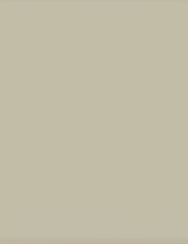 22/0.8 AGT PVC Edgebanding 729 ST Stone Grey